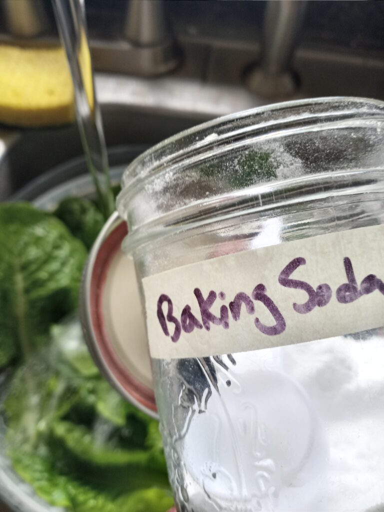 Rinsing lettuce leaves with baking soda